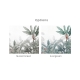 Honpo | Alluring Nature